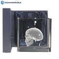 boczny widok czaszki 3D
