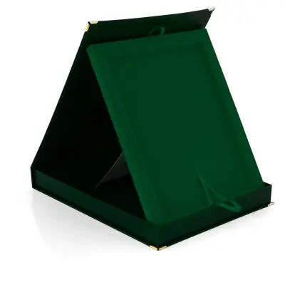 Etui zielone pion
