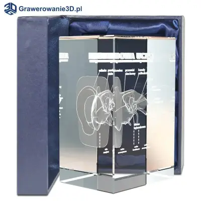 budowa ucha 3D wewnątrz kryształu