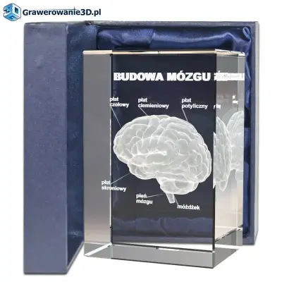 Dla lekarza podziękowanie - grawerowana statuetka 3d z życzeniami , budowa mózgu