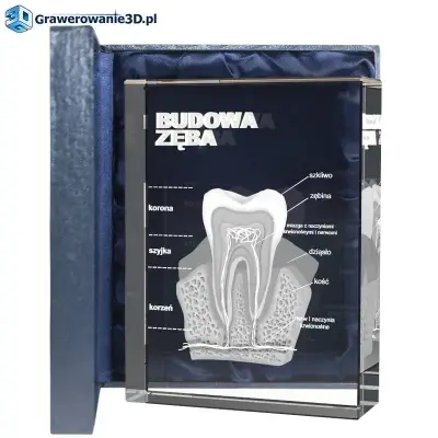 podziękowania dla stomatologa, wyjątkowe podziękowania