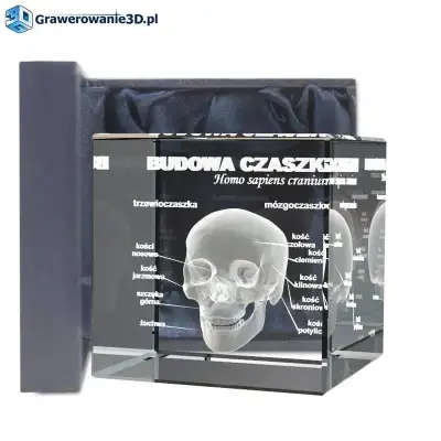 Prezent dla lekarza - pomysły na grawerowaną statuetkę 3D. Czaszka ludzka z opisami podstawowych części dla traumatologa jako pomoc dydaktyczna albo prezent