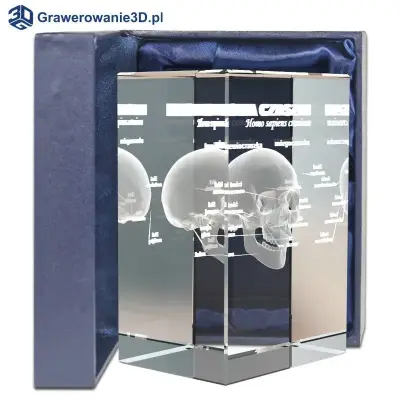 statuetka dla neurologa czaszka 3D