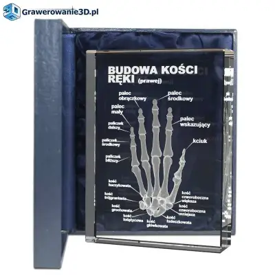 W podziękowaniu - prezent dla lekarza grawerowany 3D w kryształowej statuetce. Grawer dłoni trójwymiarowy z opisami kości