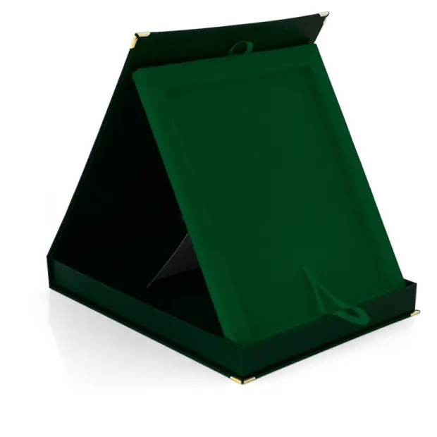 Etui zielone pion