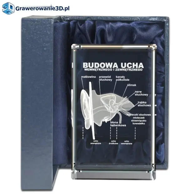 Gadżet dla lekarza - grawer 3D w krysztale, budowa ucha zewnętrznego i wewnętrznego w 3D wygrawerowana w szkle jako supe