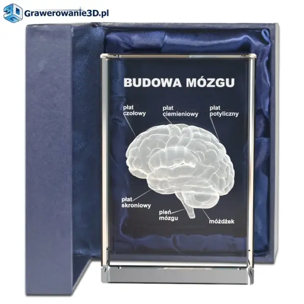 Podziękowania dla lekarza, grawer 3d w szkle, mózg 3d w szkle, grawerowanie w krysztale, prezent dla lekarza