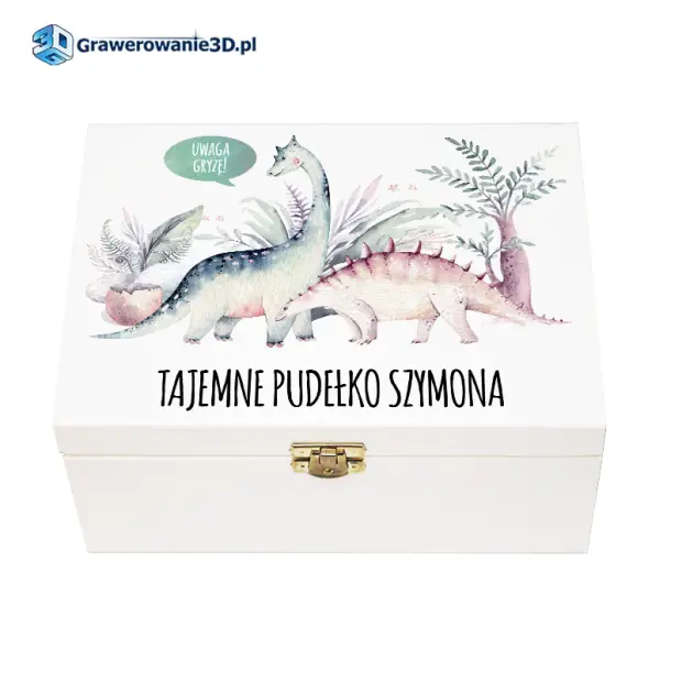 pudełko dinozaury z imieniem w dinozaury