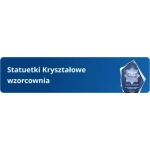 Kryształowe statuetki z grawerem – wybierz kształt i rozmiar