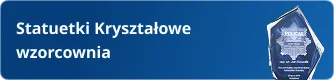 Kryształowe statuetki z grawerem – wybierz kształt i rozmiar