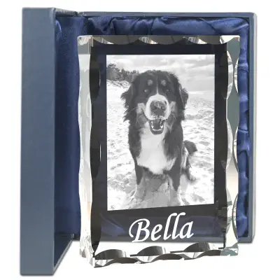 grawerowane zdjęcie zwierzęcia w szkle