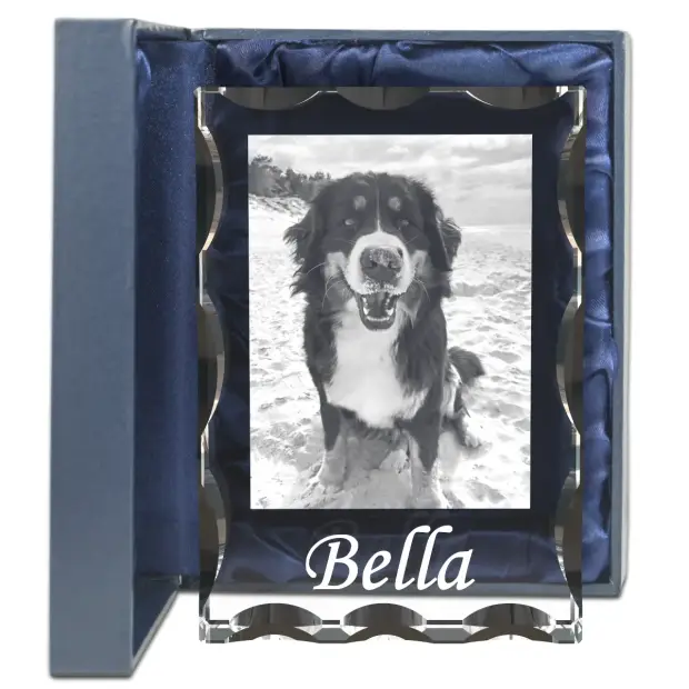 Grawerowane zdjęcie psa lub pupila w szkle