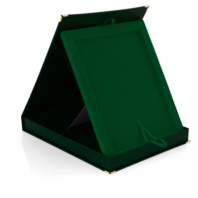 Etui zielone pion