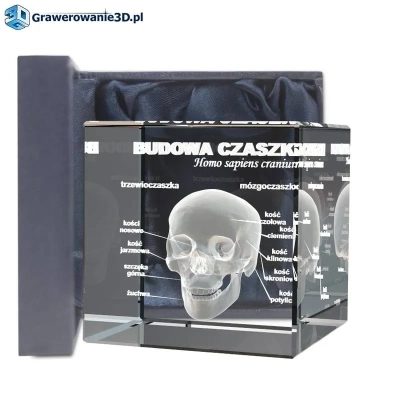 Prezent dla lekarza - pomysły na grawerowaną statuetkę 3D. Czaszka ludzka z opisami podstawowych części dla traumatologa jako pomoc dydaktyczna albo prezent