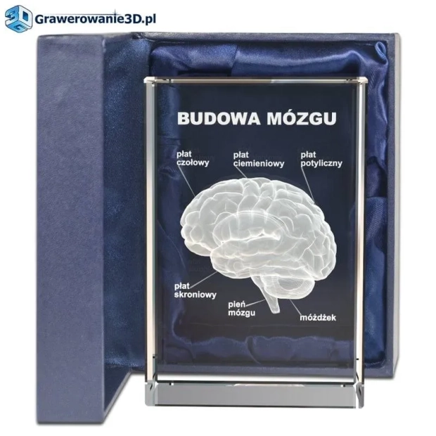 Podziękowania dla lekarza, grawer 3d w szkle, mózg 3d w szkle, grawerowanie w krysztale, prezent dla lekarza
