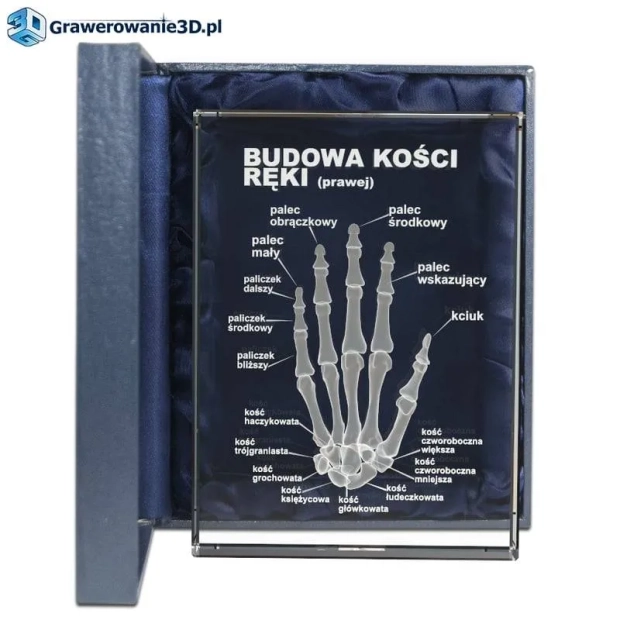 Prezent w podziękowaniu dla lekarza grawer dłoni 3D w krysztale z podziękowaniami i opisami kości