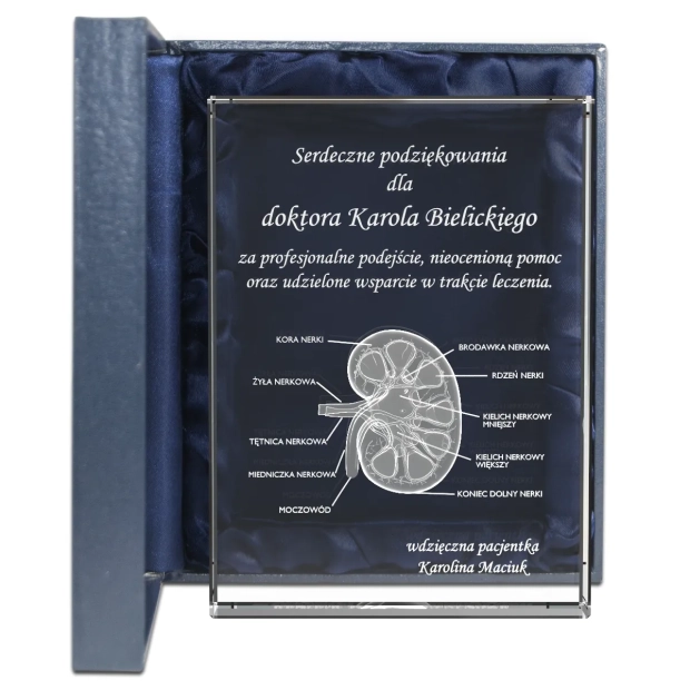 Podziękowania dla lekarza nerka 3D